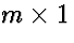 $m \times 1$