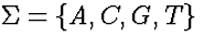 $\Sigma = \{A,C,G,T\}$