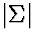 $\vert\Sigma\vert$