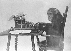 *typing monkey*