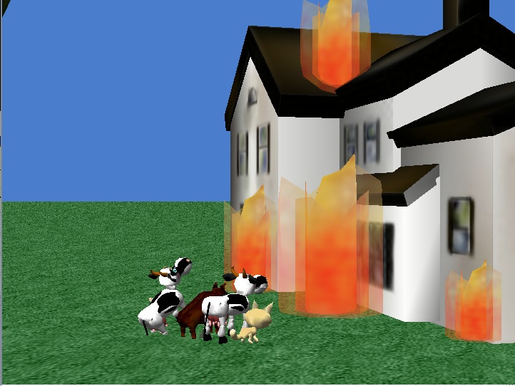 Animals Attack